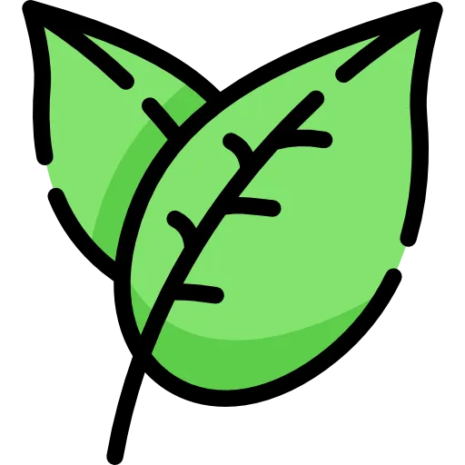 A snowflake icon